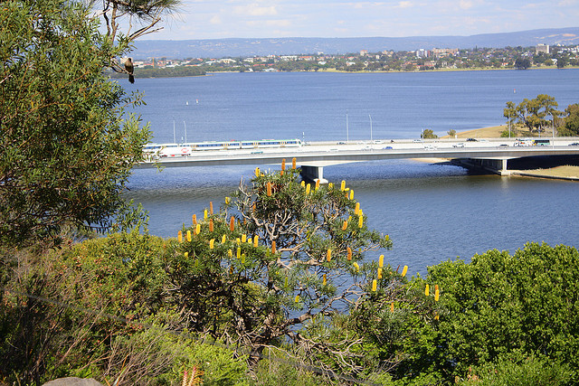 Đại lý Malaysia Airlines Việt Nam