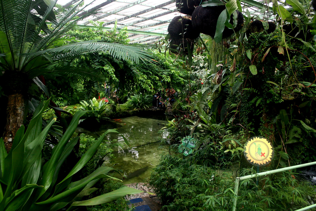 Đại lý Malaysia Airlines Việt Nam