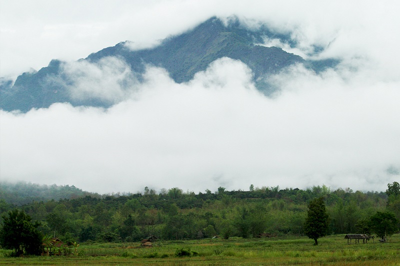 Đại lý Malaysia Airlines Việt Nam