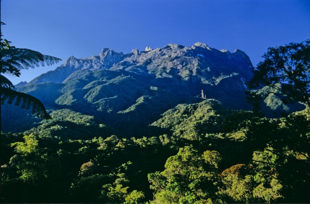 Vườn quốc gia kinabalu