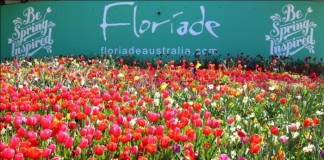 lễ hội hoa Floriade