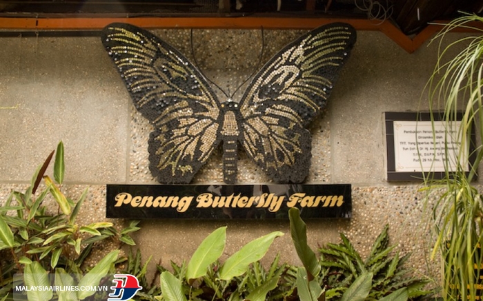 Trại bướm Penang