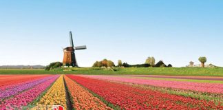 Hà Lan - điểm đến của nhiều thắng cảnh đẹp